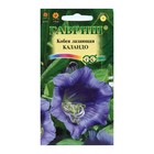 Семена цветов Кобея "Каландо", ц/п, 5 шт. - Фото 3