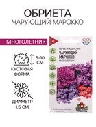 Семена цветов Обриета "Чарующий Марокко", ц/п, 0,05 г - Фото 1