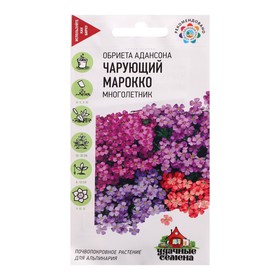 Семена цветов Обриета "Чарующий Марокко", ц/п,  0,05 г