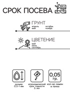 Семена цветов Обриета "Чарующий Марокко", ц/п, 0,05 г - Фото 2