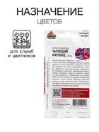 Семена цветов Обриета "Чарующий Марокко", ц/п,  0,05 г 7613810 - фото 16888822