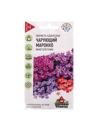 Семена цветов Обриета "Чарующий Марокко", ц/п,  0,05 г 7613810 - фото 16888824