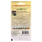 Семена цветов Капуста декоративная "Кружевная мозаика", ц/п, 0,05 г - Фото 2