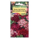 Семена цветов Флокс (Друммонда) "Звездный дождь", ц/п,  0,1 г - Фото 1