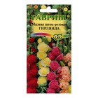 Семена цветов Мальва «Гирлянда», цветной пакет, 0.2 г - Фото 1