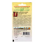 Семена цветов Мальва «Гирлянда», цветной пакет, 0.2 г - Фото 2