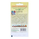 Семена цветов Лен крупноцветковый "Мозаика", ц/п, смесь, 0,2 г - Фото 2