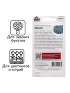 Семена Лобелия ампельная "Ниагара", ц/п, 0,01 г - Фото 3