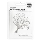 Семена Шпинат "Исполинский", б/п, 2 г - Фото 1