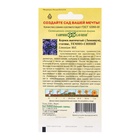 Семена цветов Лимониум "Темно-синий", ц/п, 0,1 г - Фото 2