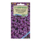Семена цветов Обриета "Пурпурный каскад", 0,05 г - фото 11904977