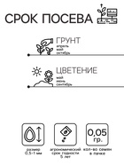 Семена цветов Обриета "Пурпурный каскад", ц/п, 0,05 г - Фото 2