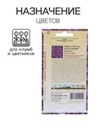 Семена цветов Обриета "Пурпурный каскад", ц/п, 0,05 г - Фото 3