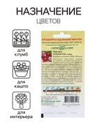 Семена цветов Пиретрум "Робинсон", ц/п,  0,2 г (комплект 2 шт) - фото 33721122