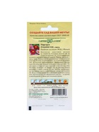 Семена цветов Пиретрум "Робинсон", ц/п,  0,2 г (комплект 2 шт) - фото 33721125