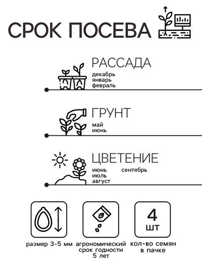 Семена цветов Пеларгония "Бланка ", ц/п,  зональная, F1, 4 шт