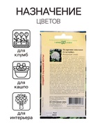 Семена цветов Пеларгония "Бланка ", ц/п, зональная, F1, 4 шт - Фото 3
