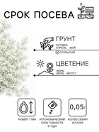 Семена цветов Гипсофила "Снежные хлопья", ц/п, 0,05 г - Фото 2