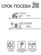 Семена цветов Обриета "Кемпбелл", ц/п, крупноцветковая, 0,05 г - Фото 2