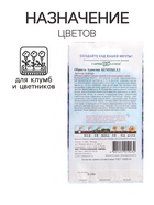 Семена цветов Обриета "Кемпбелл", ц/п, крупноцветковая, 0,05 г - Фото 3