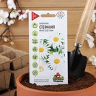 Семена цветов Ромашка "Стефания", ц/п, 0,2 г - Фото 3