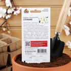 Семена цветов Ромашка "Стефания", ц/п, 0,2 г - Фото 4