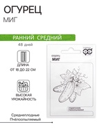Семена Огурец "Миг", б/п, 0,3 г - Фото 1