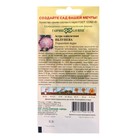 Семена цветов Астра пионовидная, "Яблунева", ц/п, однолетняя, 0,3 г - Фото 2