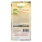 Семена цветов Петуния ампельная "Лавина Желтая Звезда F1", ц/п, гранулы, пробирка, 7 шт - Фото 2