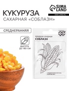 Семена Кукуруза сахарная «Соблазн», 5 г, «Гавриш» - Фото 1