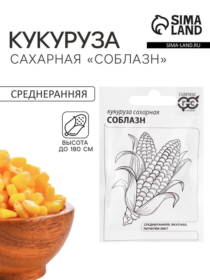 Семена Кукуруза сахарная «Соблазн», 5 г, «Гавриш» - Фото 1