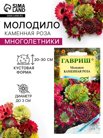 Семена цветов Молодило «Каменная Роза», 0.01 г, «Гавриш»