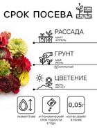 Семена цветов Молодило «Каменная Роза», 0.01 г, «Гавриш» - Фото 2