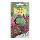 Семена цветов Молодило "Каменная Роза", ц/п, 0,01 г - Фото 3