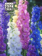 Семена цветов Дельфиниум "Океан страстей", ц/п, смесь, 0,05 г - Фото 3