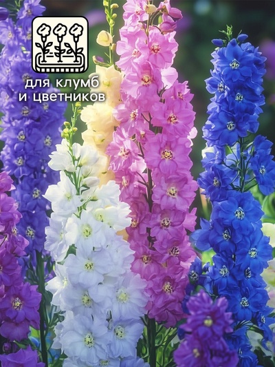 Семена цветов Дельфиниум "Океан страстей", ц/п, смесь, 0,05 г
