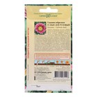 Семена цветов Гацания «Нью Дей Розовый F1», для балкона, веранды, цветника, однолетник, низкорослая ц/п, 4 шт. - Фото 2