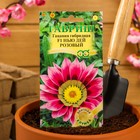 Семена цветов Гацания «Нью Дей Розовый F1», для балкона, веранды, цветника, однолетник, низкорослая ц/п, 4 шт. - Фото 3