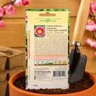 Семена цветов Гацания «Нью Дей Розовый F1», для балкона, веранды, цветника, однолетник, низкорослая ц/п, 4 шт. - Фото 4