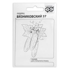 Семена Огурец "Вязниковский 37", б/п, 0,5 г - фото 318747306
