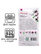 Семена цветов Виола "Фламенко белая", ц/п, F1, 7 шт. - Фото 3