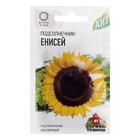 Семена Подсолнечник "Енисей", ц/п, ХИТ х3, 5 г - Фото 1