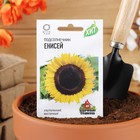 Семена Подсолнечник "Енисей", ц/п, ХИТ х3, 5 г - Фото 3