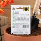 Семена Подсолнечник "Енисей", ц/п, ХИТ х3, 5 г - Фото 4