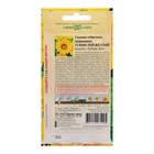 Семена цветов Гацания «Нью Дей Желтый F1», для балкона, веранды, цветника, однолетник, низкорослая, 4 шт. - Фото 2