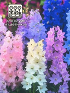 Семена цветов Дельфиниум "Махровый", ц/п, 0,05 г - Фото 3