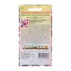 Семена цветов Петуния многоцветковая "Звездочка смесь", ц/п, 0,05 г - Фото 2