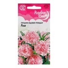 Семена цветов Гвоздика "Гренадин Роза", ц/п, 0,05 г - Фото 1