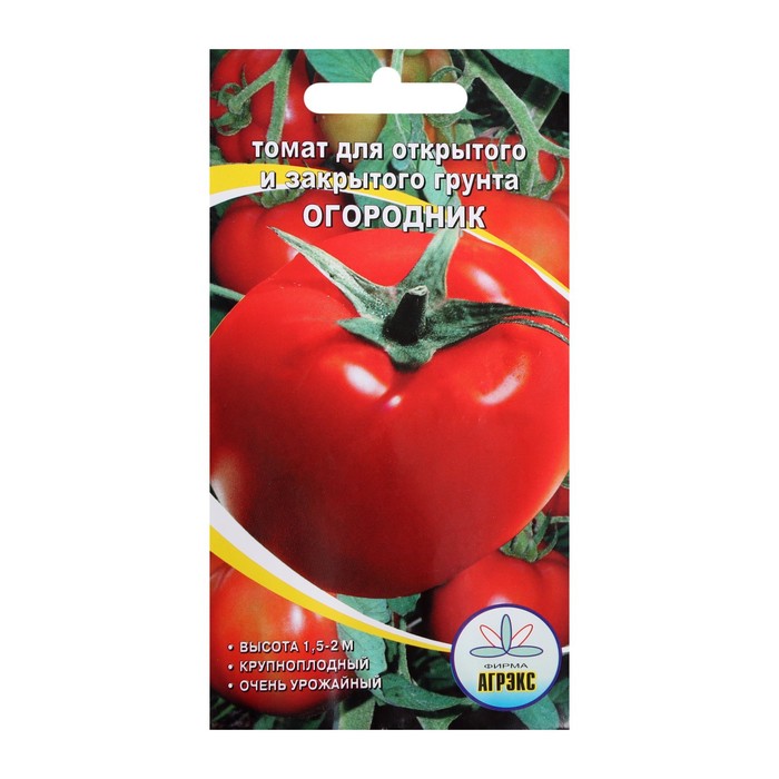 Помидоры огородник отзывы фото Помидоры огородник отзывы фото