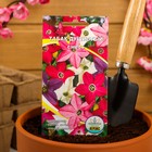 Семена Цветов однолетние Табак "Смесь", душистый, 0,1 г - Фото 3